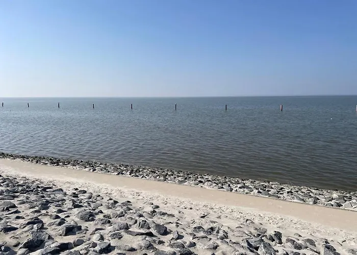 Tjalkstrasse-5 By Interhome 公寓 诺德代希